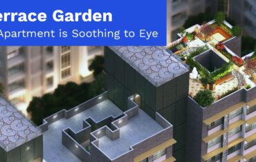 Terrace Garden in Apartments is soothing to Eye