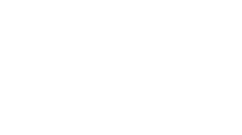 Neon Terraces Logo